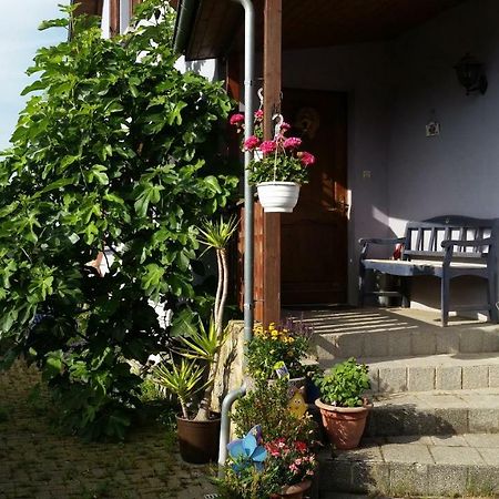 Urlaub Im Elsass Apartamento Artolsheim Exterior foto