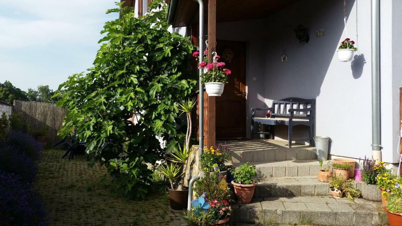 Urlaub Im Elsass Apartamento Artolsheim Exterior foto
