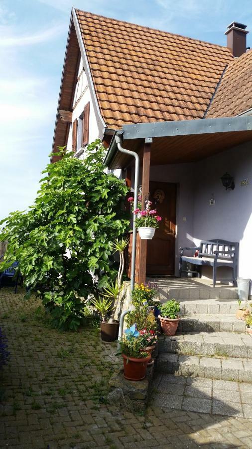 Urlaub Im Elsass Apartamento Artolsheim Exterior foto